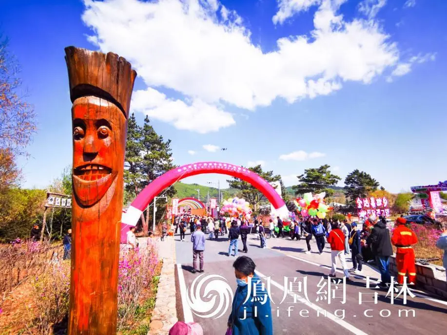 吉林和龙：盛世春光里 金达莱怒放