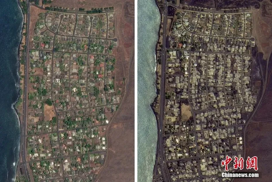 图为毛伊岛拉海纳小镇火灾前(左)和火灾后(右)的卫星影像对比。图/视觉中国