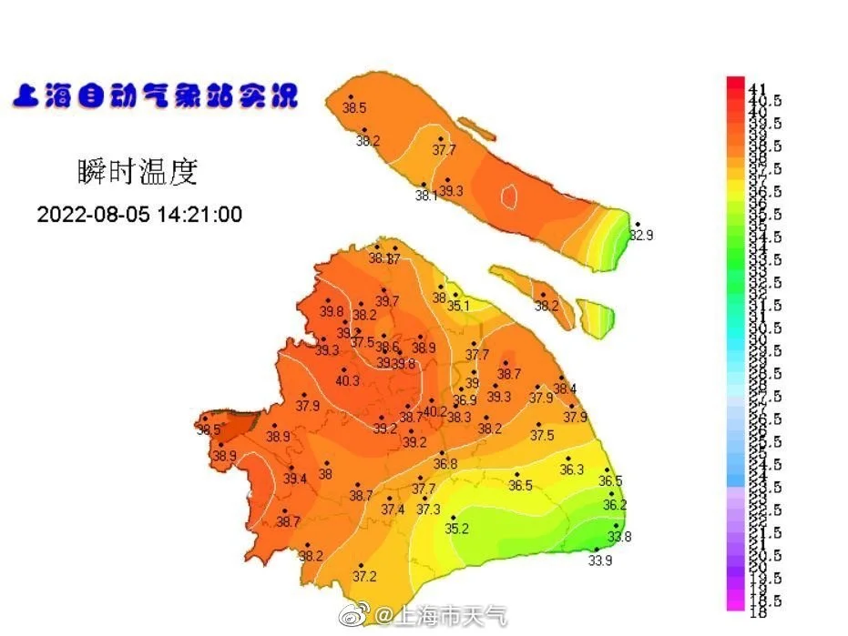 一看就会（恶搞抽血怀孕苹果手机真实）抽血检查怀孕能造假吗 第3张