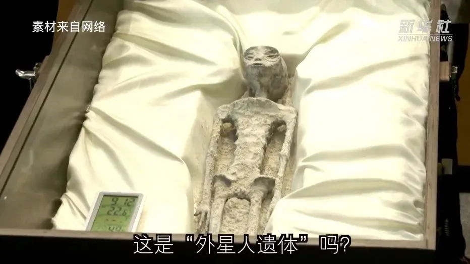 视频截图