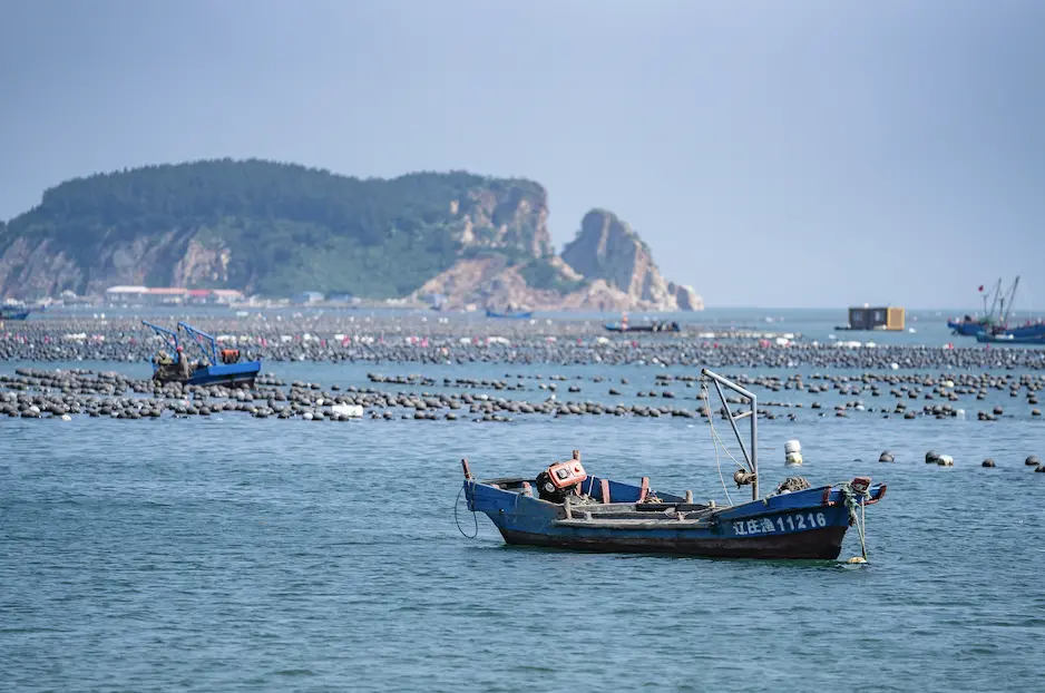 图片[15]-在北方跳岛游，感受海的澎湃与豪迈-华闻时空