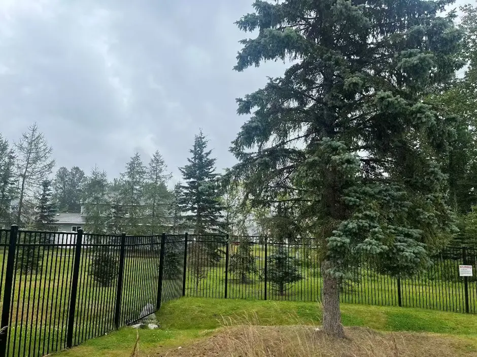 ����դ����ң�������Ŷ��-����ɭ���Ͼ��»��ء�ͼԴ������