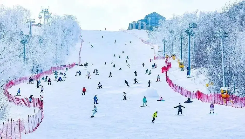 吉林热闹的滑雪场。图片来源：悠游吉林