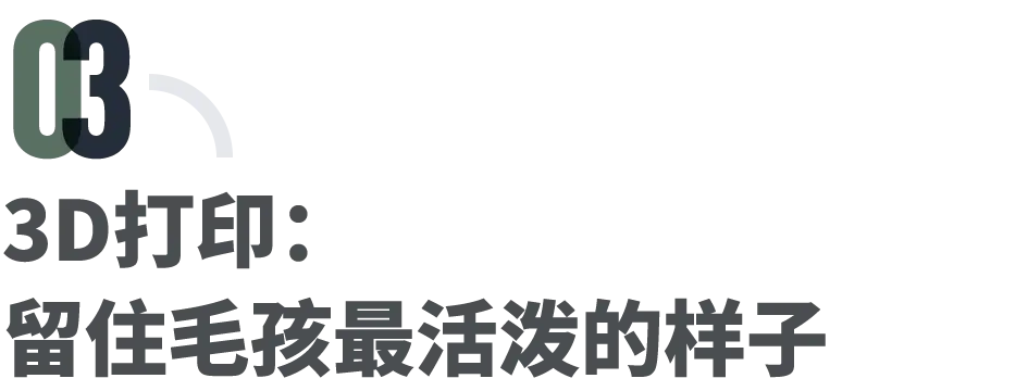 遗体修复,丧礼,破地狱:香港大火30天_人物_第8张_纵横网 遗体修复,丧礼,破地狱:香港大火30天_https://www.izongheng.net_人物_第8张