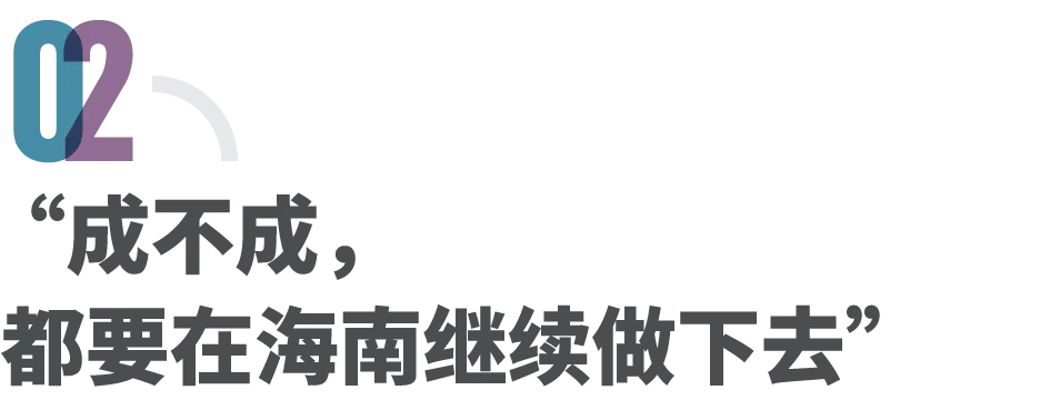 35岁创业者涌入海南,押注“下一个香港”_快讯_第5张_纵横网 35岁创业者涌入海南,押注“下一个香港”_https://www.izongheng.net_快讯_第5张