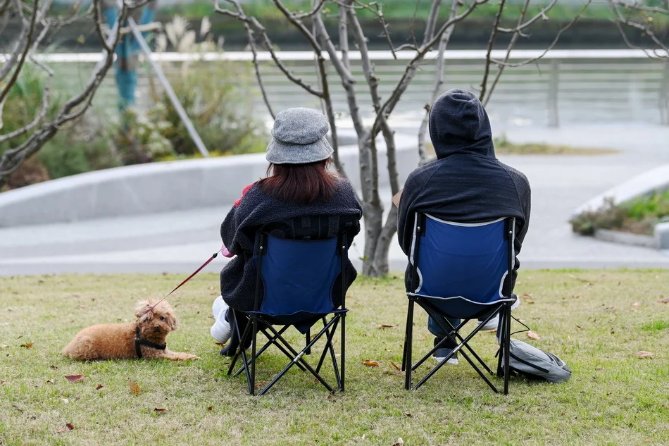 速看（杨柳岸）杨柳岸上一句和下一句 第5张