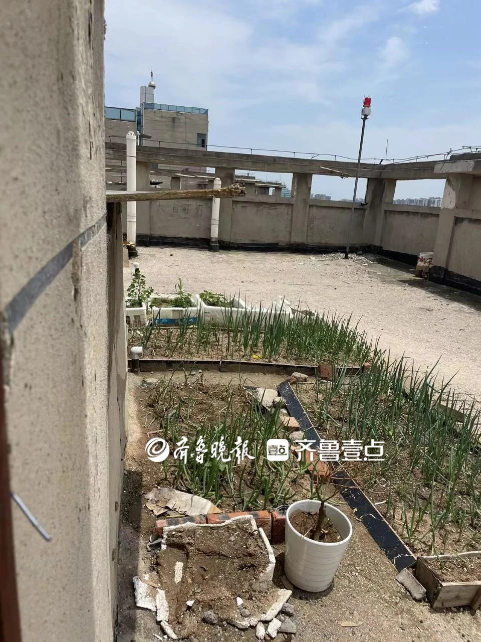 天台（受访者供图）