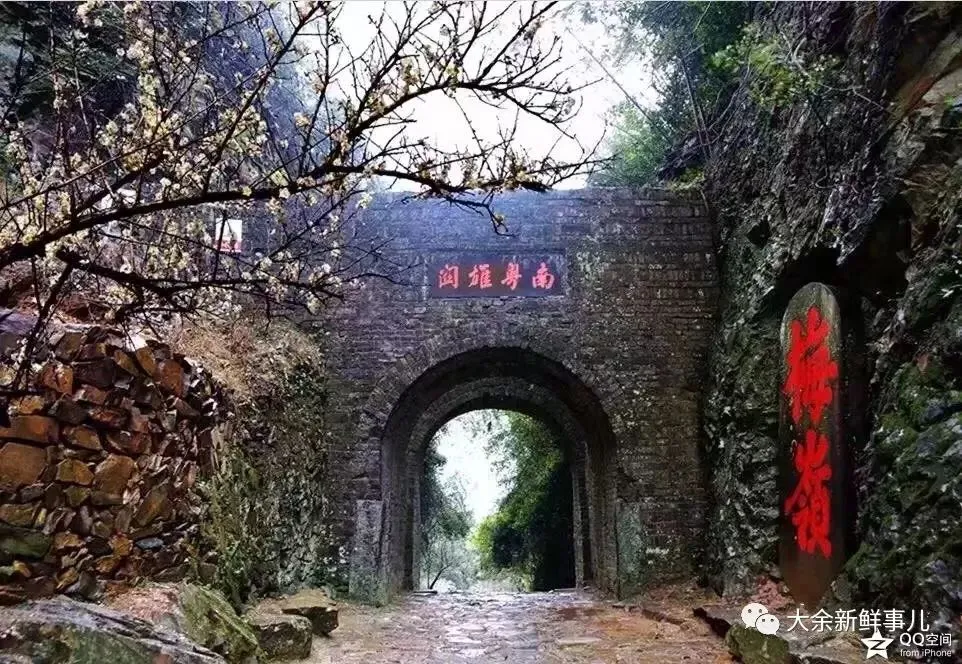 大余是哪个省的？已传疯，大余人都顶起！（大余县是哪个省的）