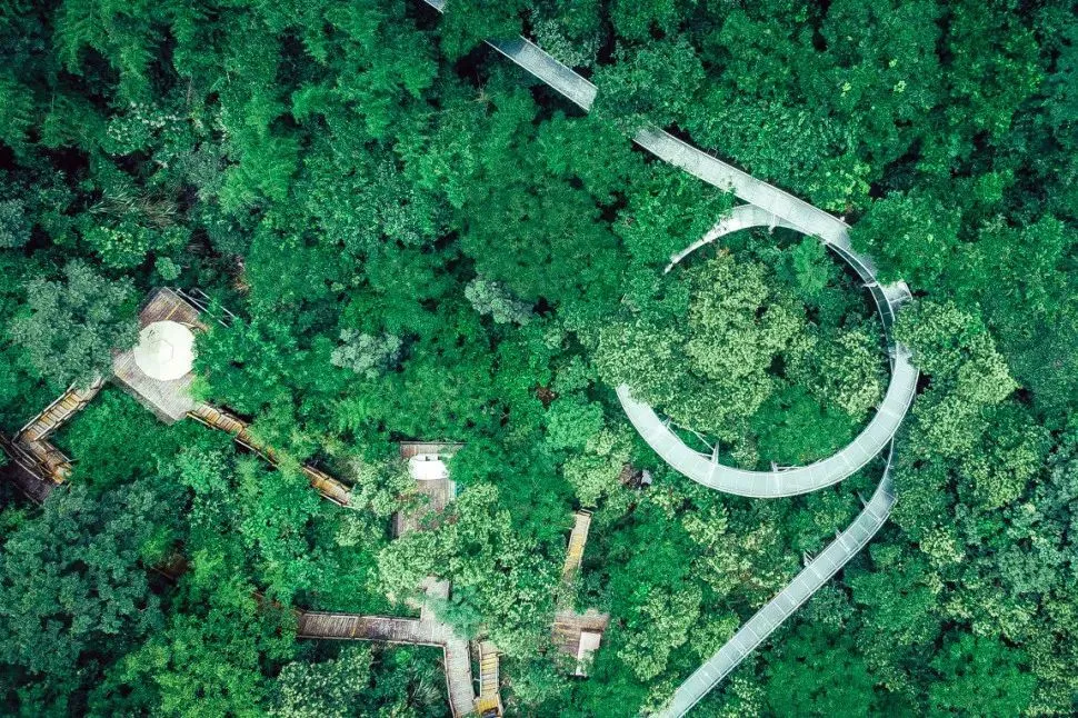 图片[3]-杭温高铁通车，一路有山有水-华闻时空