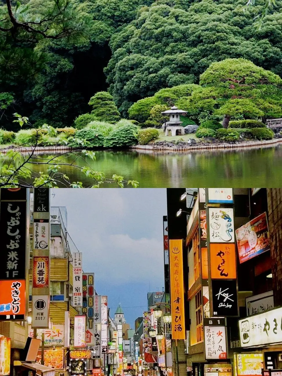 退休老人的第一次日本游，就这样被高市早苗整黄了_https://www.izongheng.net_快讯_第3张