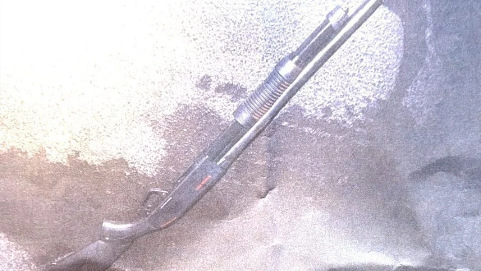 出身“特朗普铁粉”家庭，“连蚂蚁都不会伤害”…闯海湖庄园被杀男子更多信息曝光