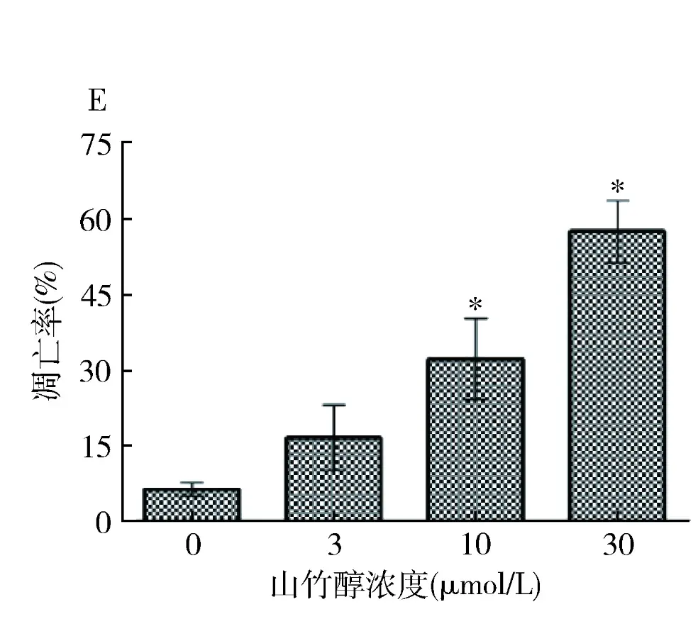 山竹醇对骨肉瘤细胞凋亡率的影响|图源：参考资料[4]