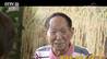 央视专访袁隆平，信息量如“超级稻”