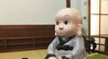 一日禅：幸福法则