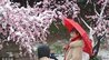 唐驳虎：大雨、沙尘、冰雹、暴雪，今年清明天气有些“狂”