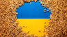 “援乌，但拒绝乌克兰粮食”，援乌阵营暗藏何种矛盾？