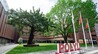 香港理工大学2026年本科课程开始接受高考生报名