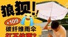 拆穿网红铅笔雨伞，真的值吗？｜ 消费不踩坑