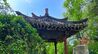 济南文旅+康养双向发力，解锁全龄治愈慢生活