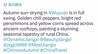 今年第五次！这次婺源的秋天被外交官“晒”到了海外