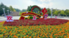“中国红”撞上“繁花绿”！山东多地换装国庆限定皮肤