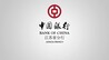 中国银行江苏省分行金融宣教乡村行《2026微光计划》之“博物馆奇妙夜”点亮兴化乡村校园