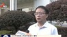 安福县陂头水库水体发绿蓝藻聚集 县政府成立联合调查组