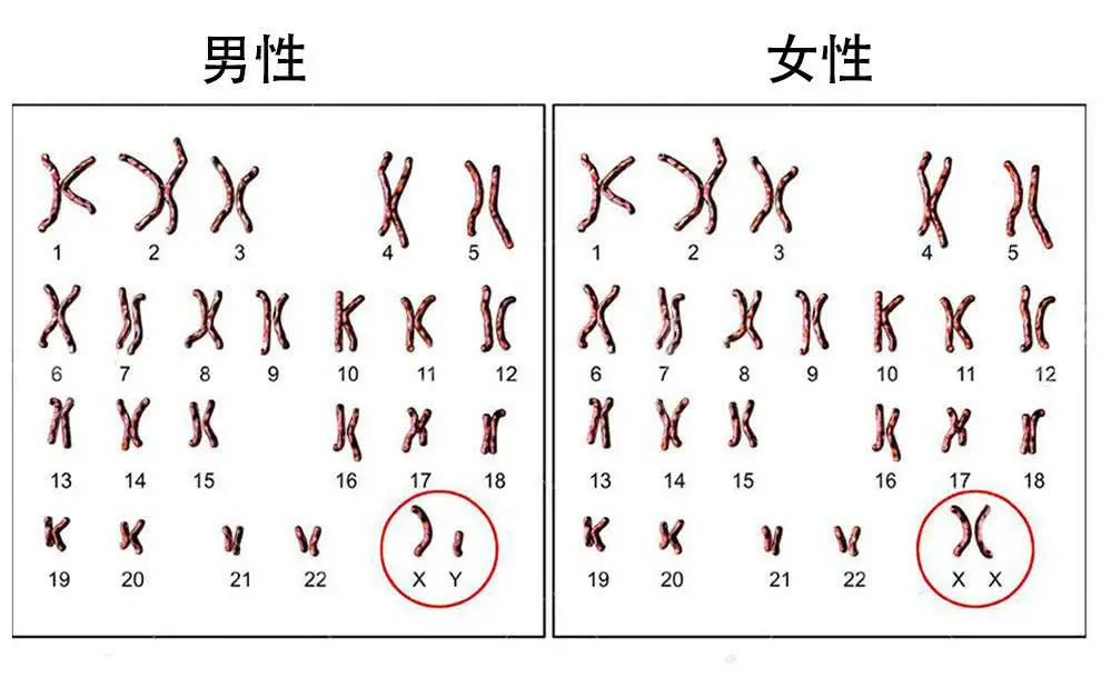 南大藏尸案（南大粹尸案有没有侦破） 第6张