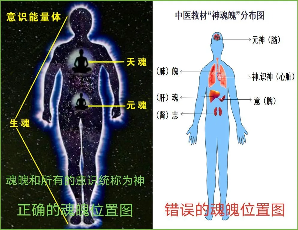 新鲜出炉（老子简介）老子简介资料大全100字怎么写 第2张